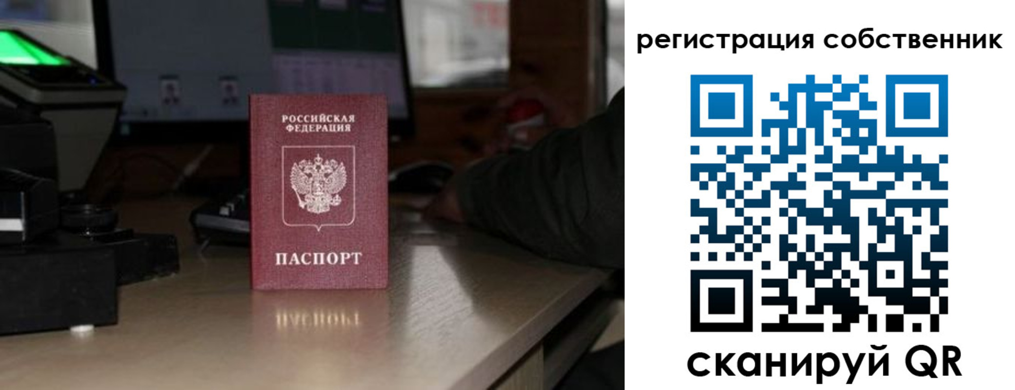 прописка поиск в Гусеве